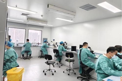 嘉實力全開！嘉定區在全市疾病預防控制職業技能競賽中包攬多個獎項